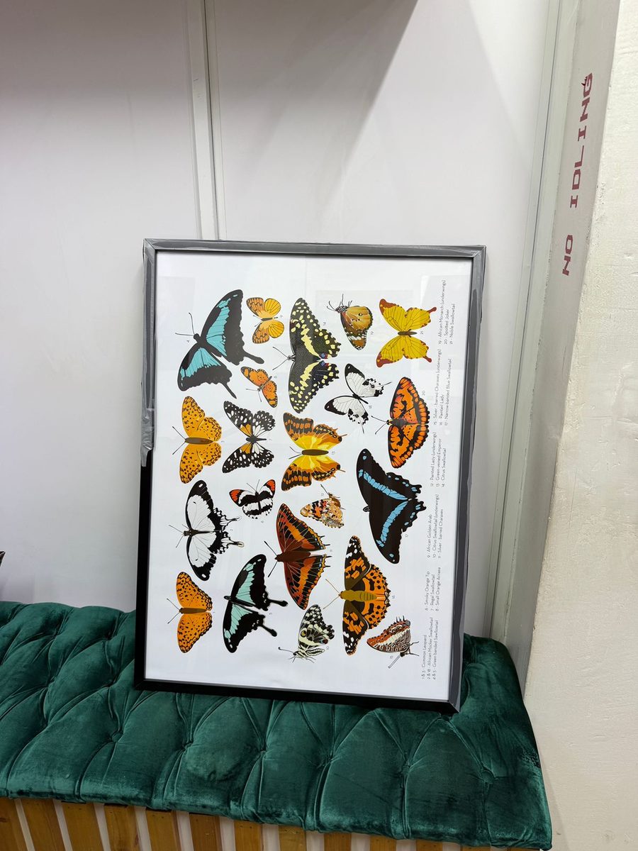 Framed Wall Art — A2 — Photo 6